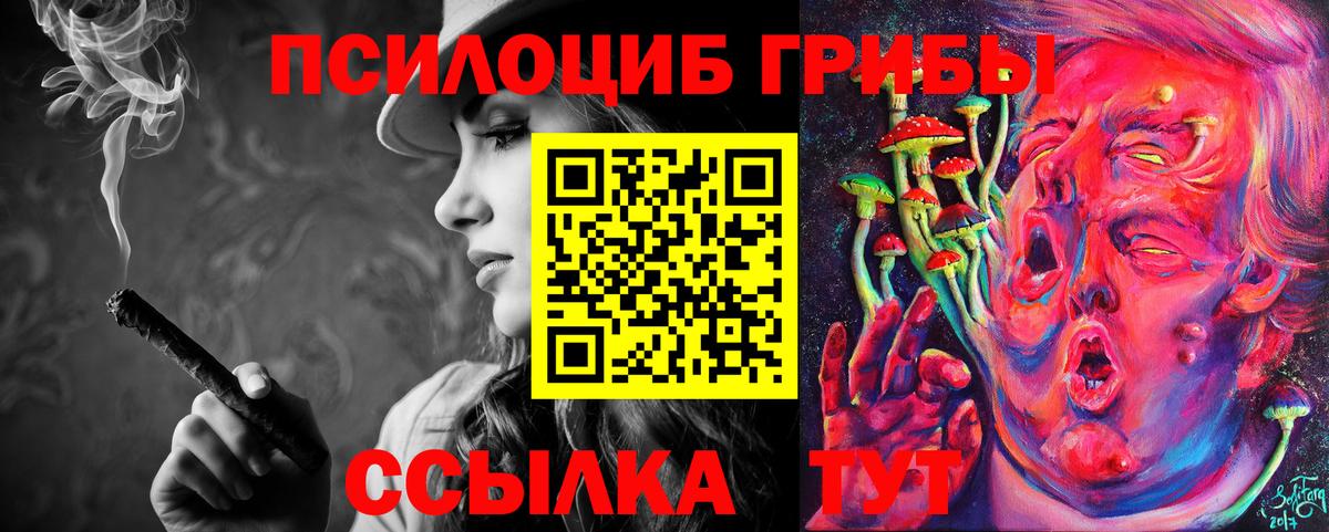 как найти   Вход с VPN  Ноябрьск  Галлюциногенные грибы GOLDEN TEACHER 